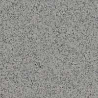 Silver Birch (4020)