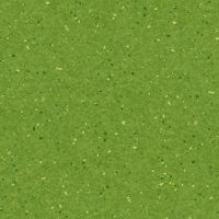 Spring Meadow (1150)