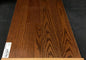 Praline - Tosca Northern Red Oak 3/4"x4-1/4" Solid Hardwood