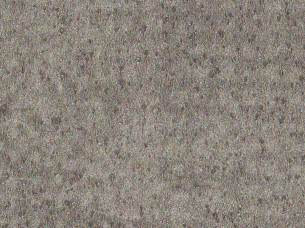 Deep Fossil (5082)