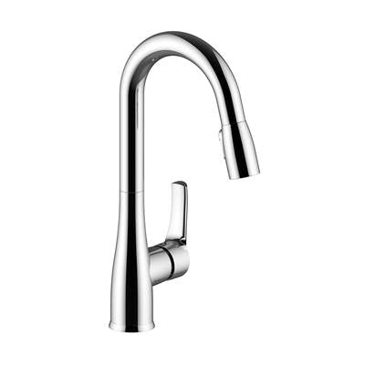 Vogt KF.15HN.0302.CC- Hallein Kitchen Faucet Cc