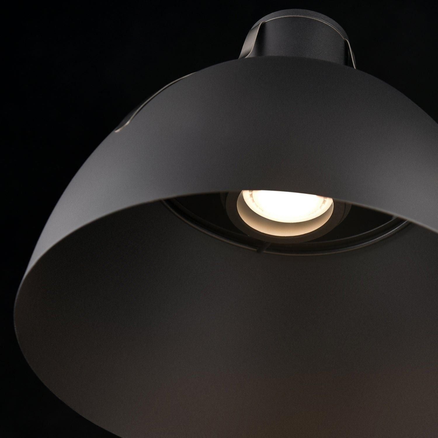 Alcenon Outdoor Sconce