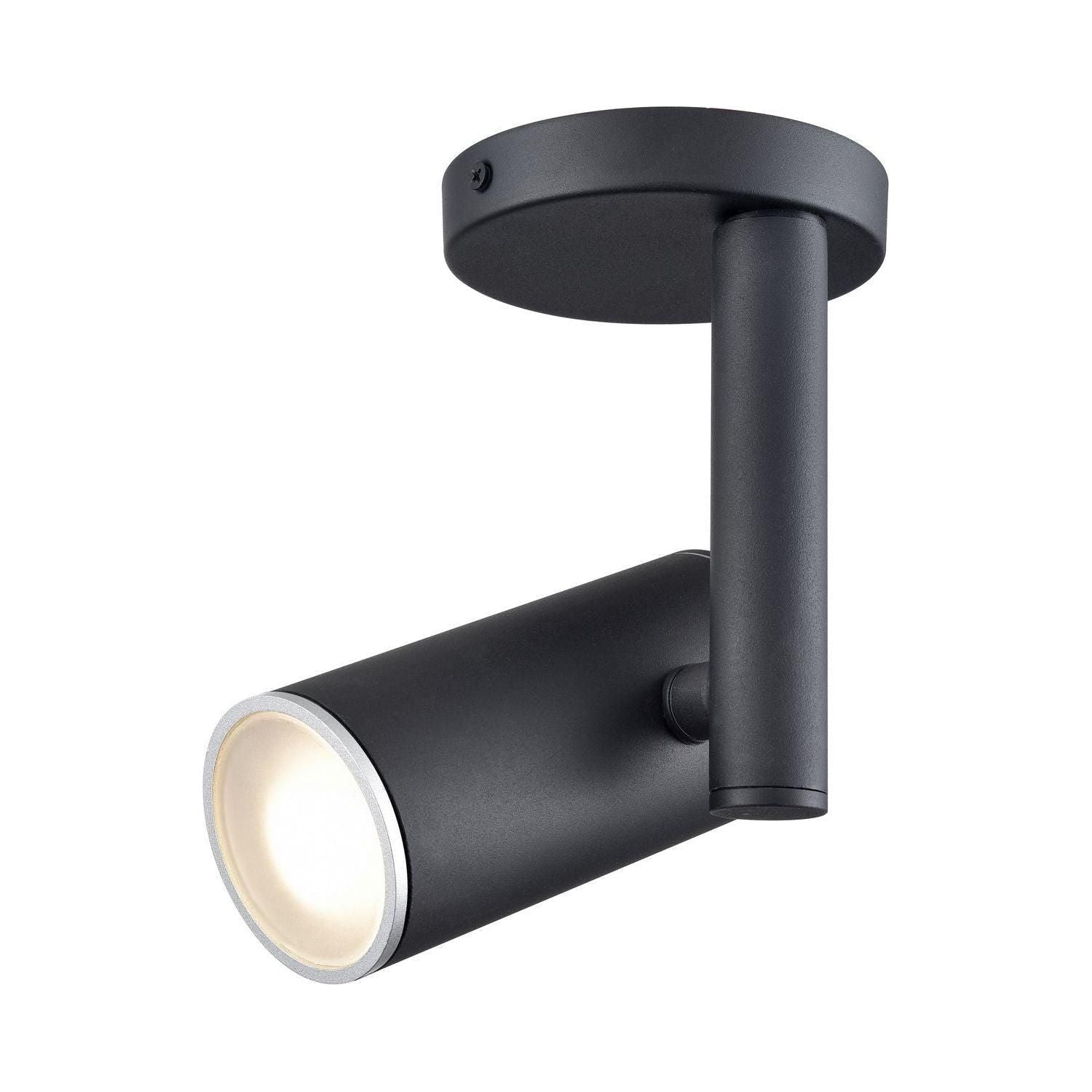 Pond Inlet 1 Light Outdoor Flush Mount