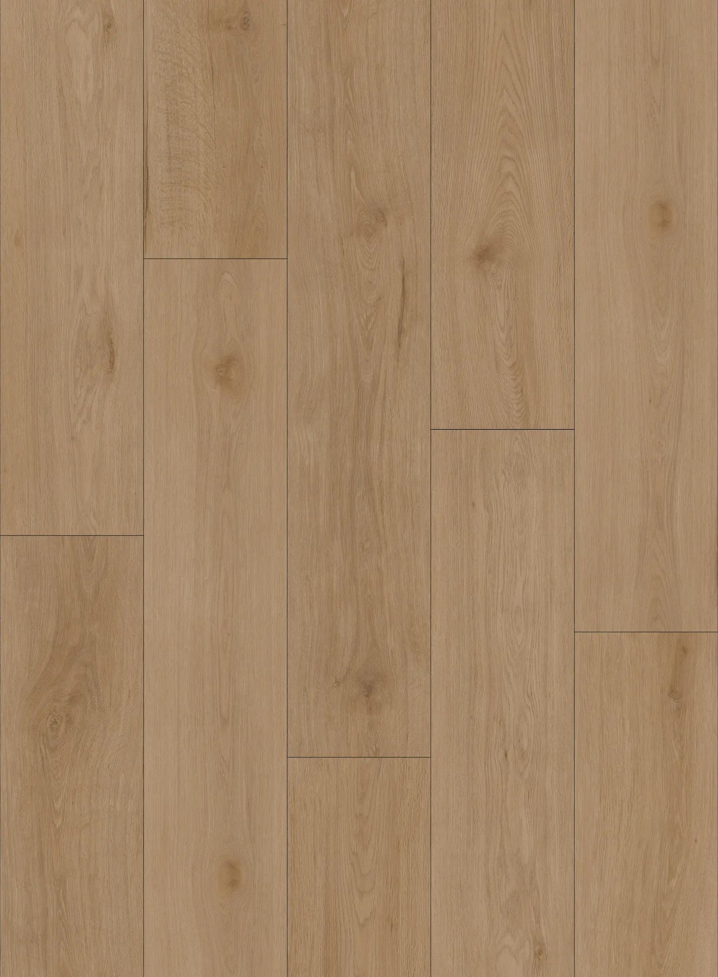 LUMI EV411011 - Canadian Standard Flooring 9mm WPC Vinyl | Evion 9 Collection