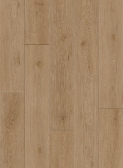 LUMI EV411011 - Canadian Standard Flooring 9mm WPC Vinyl | Evion 9 Collection