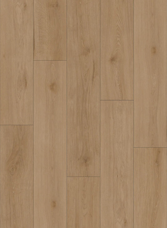 LUMI EV411011 - Canadian Standard Flooring 9mm WPC Vinyl | Evion 9 Collection
