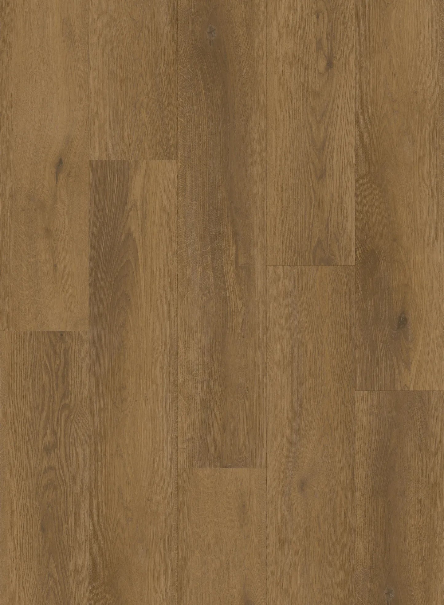 MIZU EV411012 - Canadian Standard Flooring 9mm WPC Vinyl | Evion 9 Collection