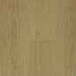 Pristine - Canadian Standard Flooring 7½” x 3/4" Engineered Hardwood Oak LUCID PLANKS Collection