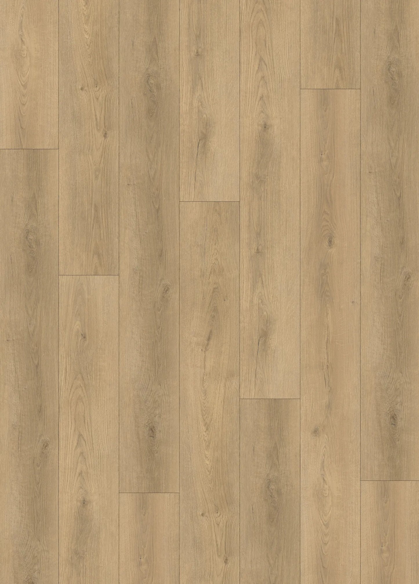 SORA EV411015 - Canadian Standard Flooring 9mm WPC Vinyl | Evion 9 Collection