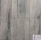 TF6008-F - Toucan 12mm Laminate Flooring Eir Collection