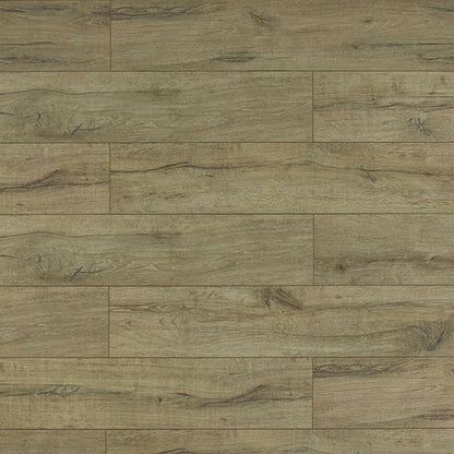 TF6010-F - Toucan 12mm Laminate Flooring Eir Collection