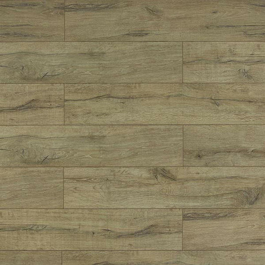 TF6010-F - Toucan 12mm Laminate Flooring Eir Collection