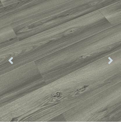 TF6605 Taos - Toucan 12mm Laminate Flooring TF66 Series