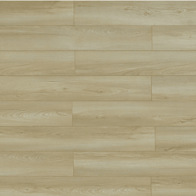 TF6607 Edgewood - Toucan 12mm Laminate Flooring - TF66 Series