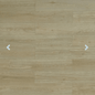 TF6611 Las Cruces - Toucan 12mm Laminate Flooring TF66 Series