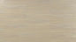 TF8012 - Toucan 12mm Laminate Flooring - TF80 Series